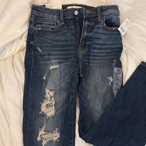 Buckle Willow & Root Jeans